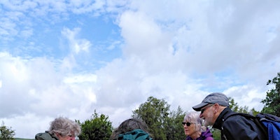 Hauptbild für Botanical Walk at Burfa Bog