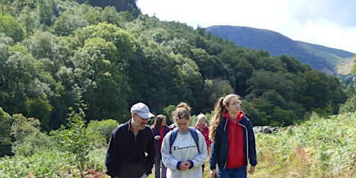 Hauptbild für Botanical Walk at Gilfach