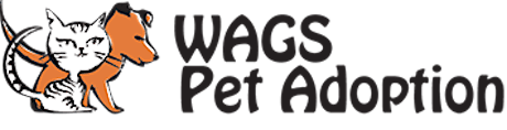 3rd Annual WAGS To Riches Casino Night Charity Fundraiser primary image