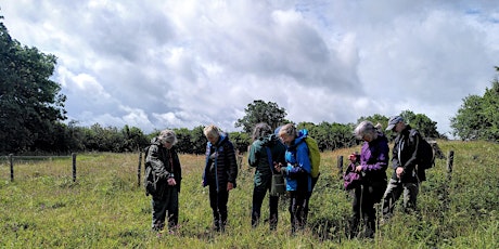 Botanical Walk at Rhayader Tunnel