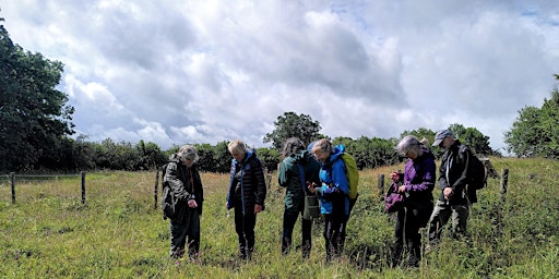 Imagem principal do evento Botanical Walk at Rhayader Tunnel