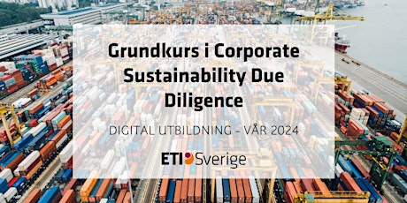 Grundkurs i corporate sustainability due diligence primary image