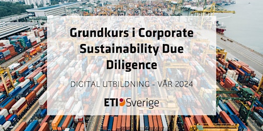 Image principale de Grundkurs i corporate sustainability due diligence