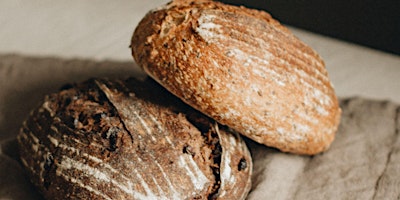 Workshop: All Things Sourdough primary image