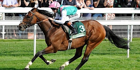 York Ebor Festival Hospitality - The Dante Suite - 2024