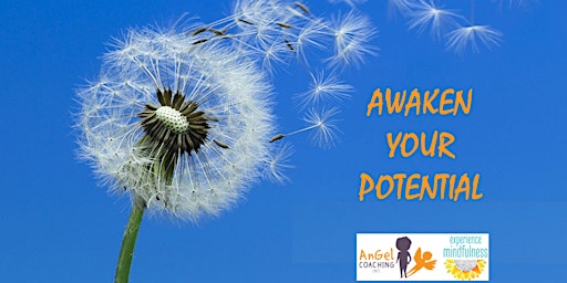 Imagen principal de Awaken Your Potential