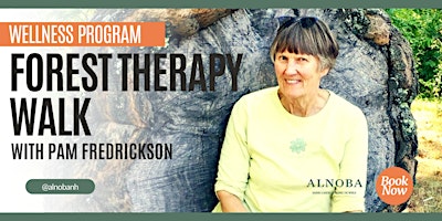 Imagem principal de Outdoor & Unplugged: Forest Therapy Walk with Pam Fredrickson