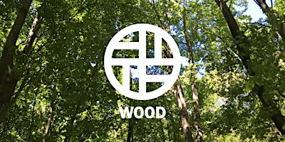 Imagem principal do evento Wood Element Curation