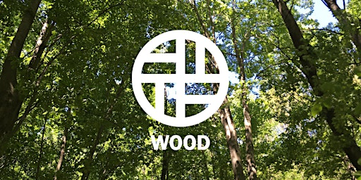 Hauptbild für Wood Element Curation