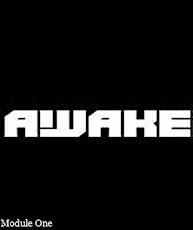 AWAKE! - Transurfing primary image