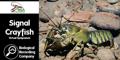 Signal Crayfish Virtual Symposium primary image