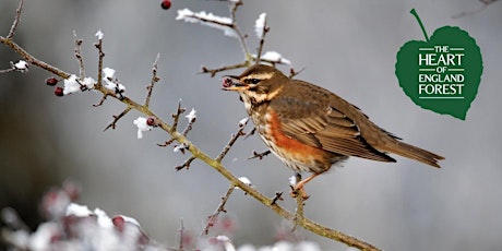 Guided Walk: Winter Morning Bird Walk primary image