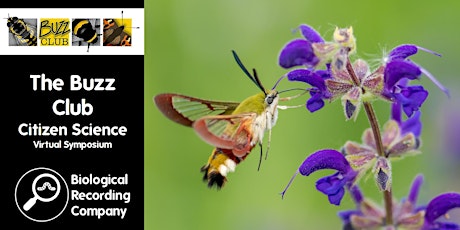 The Buzz Club: Citizen Science Virtual Symposium primary image