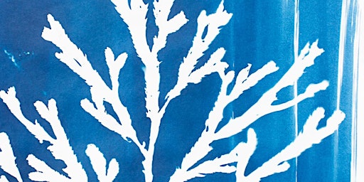 Primaire afbeelding van Cyanotype Workshop