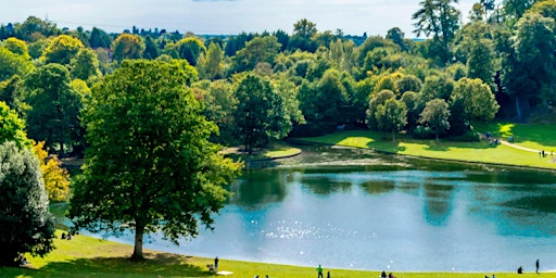 Imagem principal do evento Forest Bathing : Self-Care In  Nature's Health Service