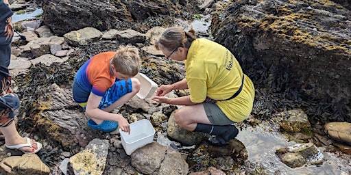 Rockpool Safari primary image