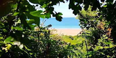 Primaire afbeelding van Yoga & Surf Retreat, Croyde Bay, Devon