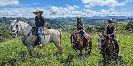 Healing with Horses Retreat 2024 primary image