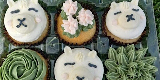 Imagen principal de Cupcake Decorating class - Llama & Succulents