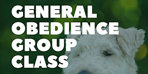Primaire afbeelding van General Obedience Group Class