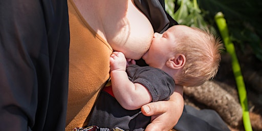 Primaire afbeelding van Breastfeeding Support Session Albion Park