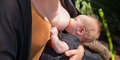 Breastfeeding face 2 face session Nowra primary image