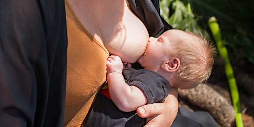 Immagine principale di Breastfeeding Support Session North Wollongong 