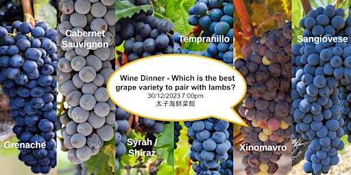 [FULL] Wine Dinner - Which is the best grape variety to pair with lambs? primary image
