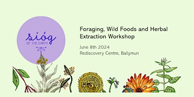 Wild Sióg - Foraging, Wild Foods and Herbal Extraction Workshop primary image