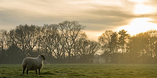 Photography Workshop – 'Know The Basics' with Daniel Bridge primary image