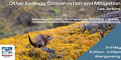 Imagem principal do evento Otter Ecology, Conservation and Mitigation