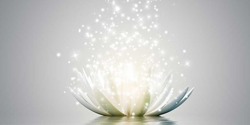 Immagine principale di Reiki 1 Certification Class! Pet Reiki, Herbal, yoga and More! 