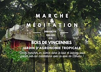 Marche et Méditation au Bois de Vincennes - Jardin d'agronomie tropicale