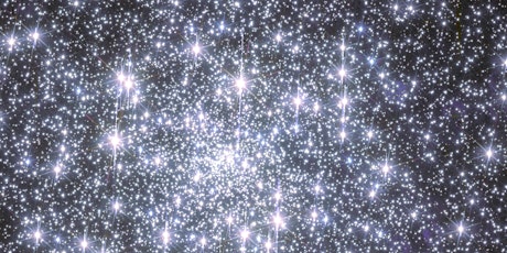 Immagine principale di Le stelle di Capodimonte 