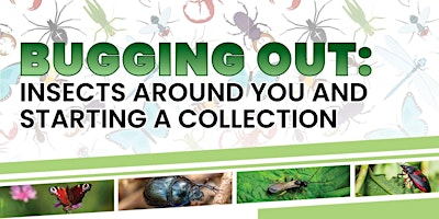 "Bugging Out!" Insects Around You and Starting a Collection