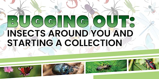 Imagem principal do evento "Bugging Out!" Insects Around You and Starting a Collection