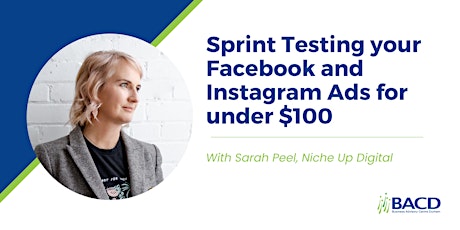 Sprint Testing your Facebook and Instagram Ads for under $100 primary image