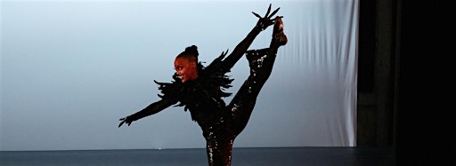 Collection image for Roger Lee Dance Company presents: Galaxy