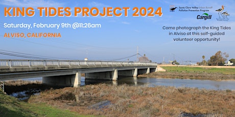 Self-Guided Volunteer Opportunity: February 2024 King Tides in Alviso primary image