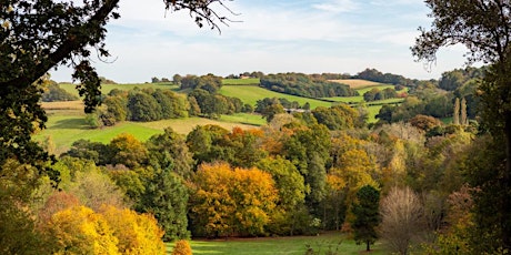 Forest Bathing : Self-Care In  Nature's Health Service