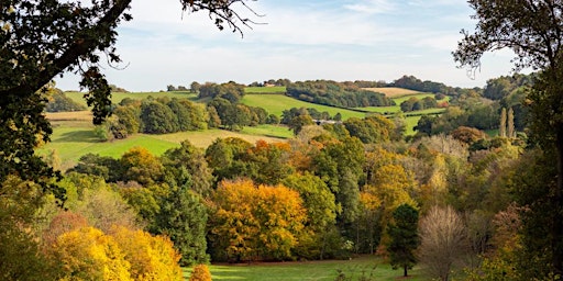 Imagem principal de Forest Bathing : Self-Care In  Nature's Health Service