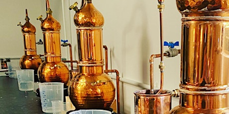 The OX Gin School Experience 2024