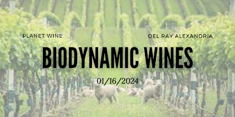 WINE CLASS - Biodynamic Wines primary image