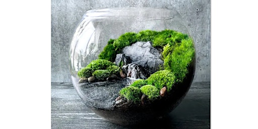 Primaire afbeelding van Terrarium workshop - $45