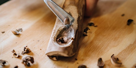Spoon Carving Workshop primary image