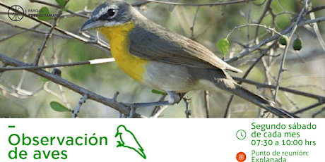 Imagen principal de Recorridos de Observación de Aves Parque Rufino Tamayo