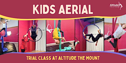 Primaire afbeelding van Kids Aerial Trial Class