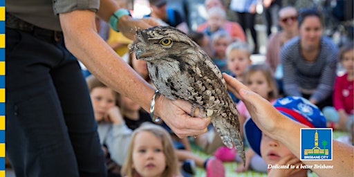 Imagem principal do evento Meet Wildlife Neighbours