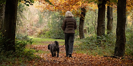 Waggy Walks - Burnham Beeches