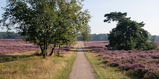 Image principale de Retraite: Creëer je droombaan